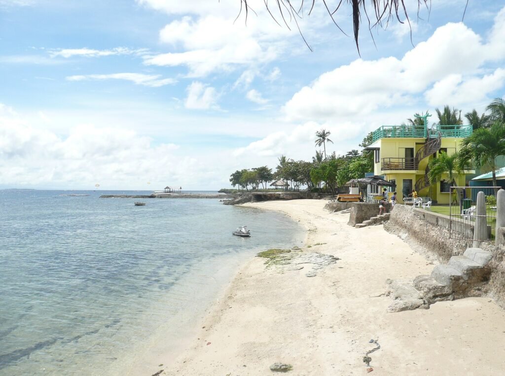 A beach on Mactan Island with clear shallow water and palm trees